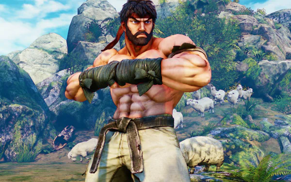 video game Street Fighter V HD Desktop Wallpaper | Background Image