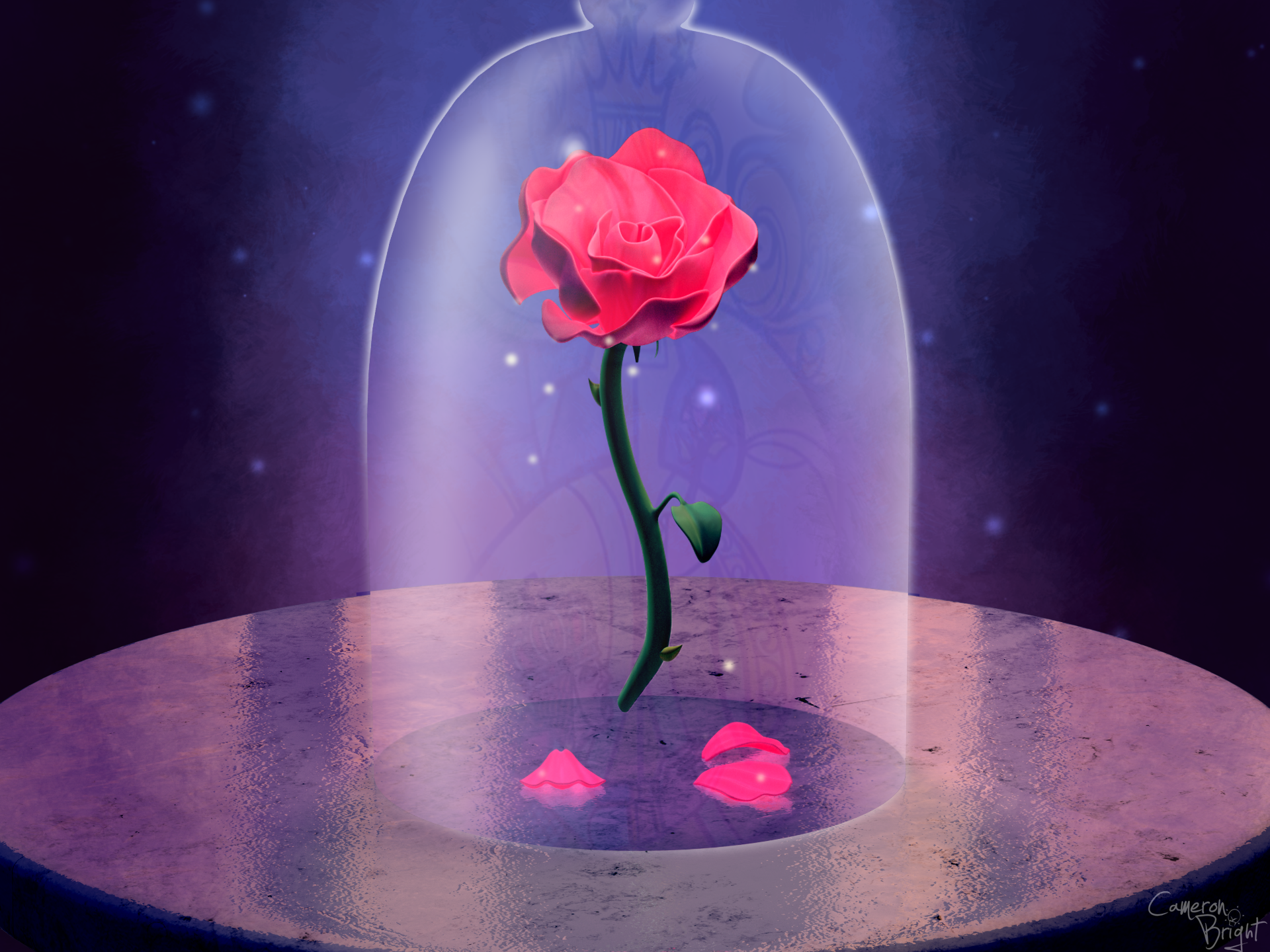 Pink Rose from "Beauty and the Beast" by Cameron Bright