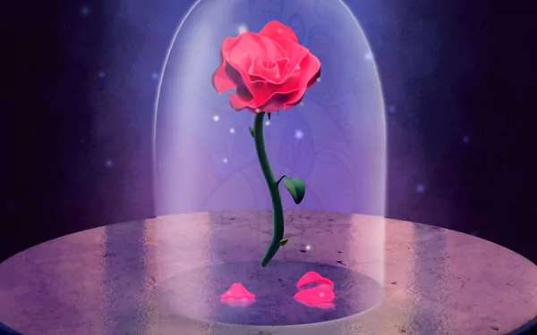  Pink Rose from &quot;Beauty and the Beast&quot; by Cameron Bright
