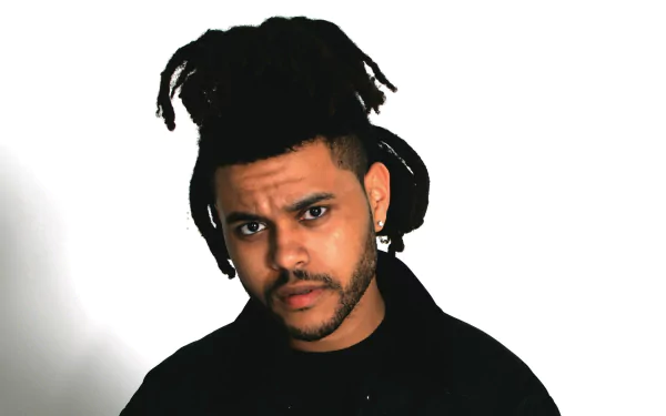 HD desktop wallpaper featuring a portrait of a man with distinctive hairstyle, in a black outfit against a light background.