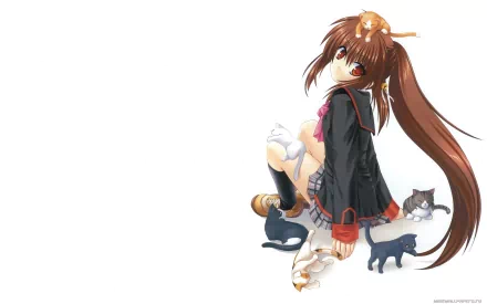 A cute anime character from Little Busters! sits surrounded by playful cats, featuring an HD design that highlights her expressive eyes and charming attire. Perfect for an anime-themed desktop wallpaper.