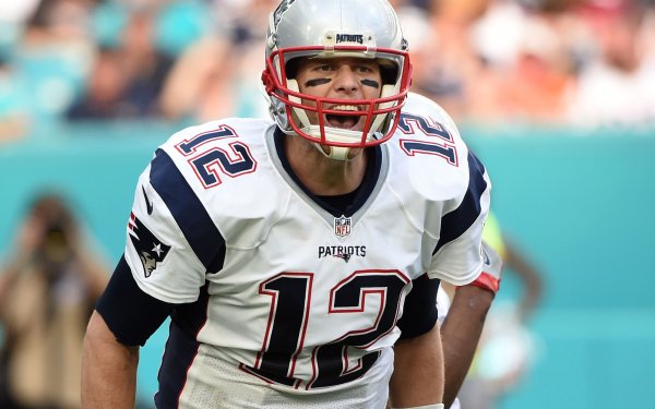 Sports Tom Brady Football New England Patriots HD Wallpaper | Background Image