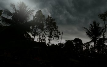 Black & White Full HD Wallpaper and Background Image | 2560x1600 | ID