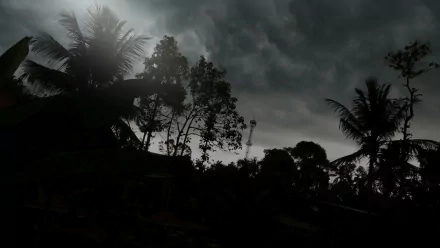 A dramatic black and white photograph capturing a moody sky filled with dark clouds, silhouetted trees, creating a striking HD desktop wallpaper and background.