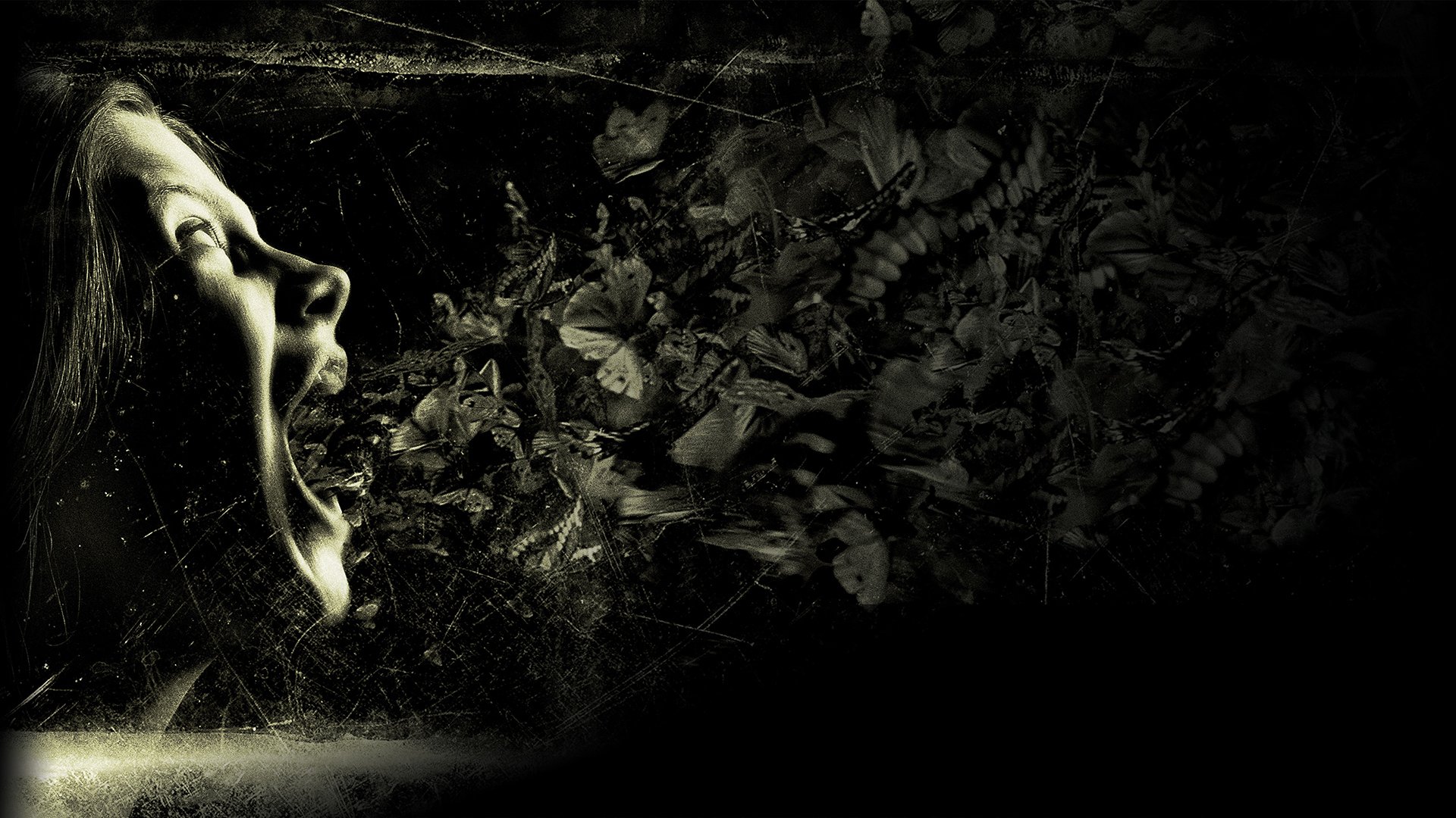 Download Movie The Possession HD Wallpaper
