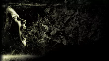 movie The Possession HD Desktop Wallpaper | Background Image