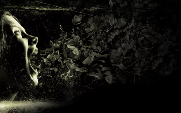 movie The Possession HD Desktop Wallpaper | Background Image