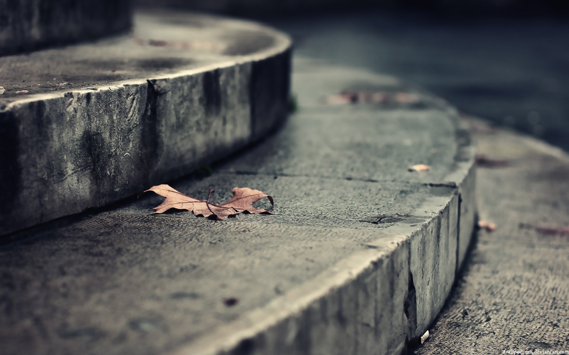 HD photography of a single dry leaf resting on curved concrete steps, creating a cool and minimalist PC desktop wallpaper and background.