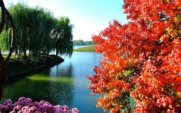 Photography Park Tree Colorful Flower Lake HD Wallpaper | Background Image