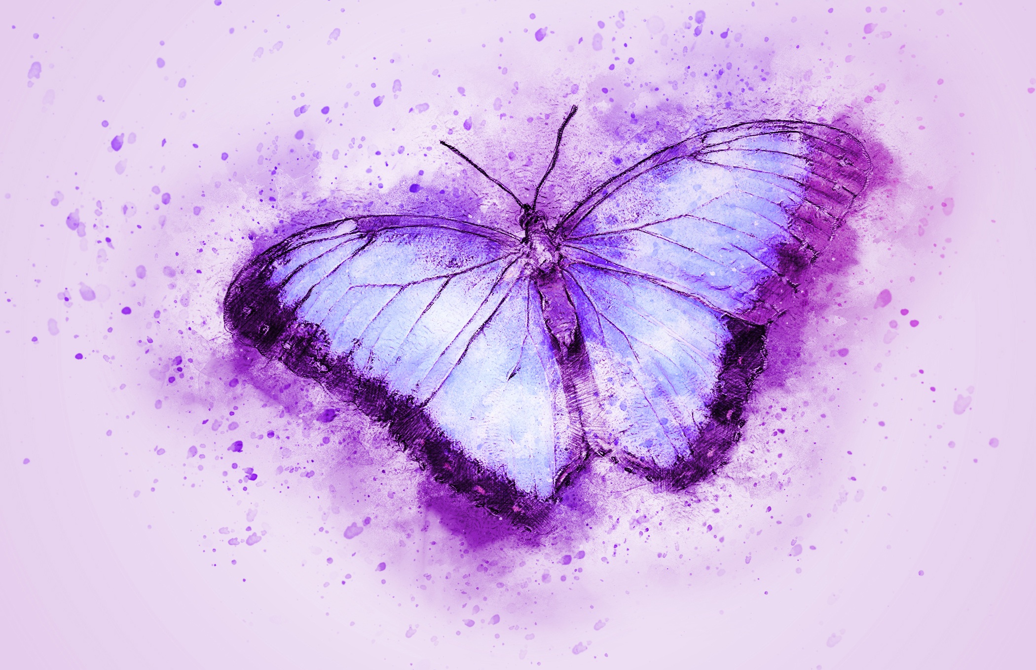 Butterfly Drawing Wallpaper