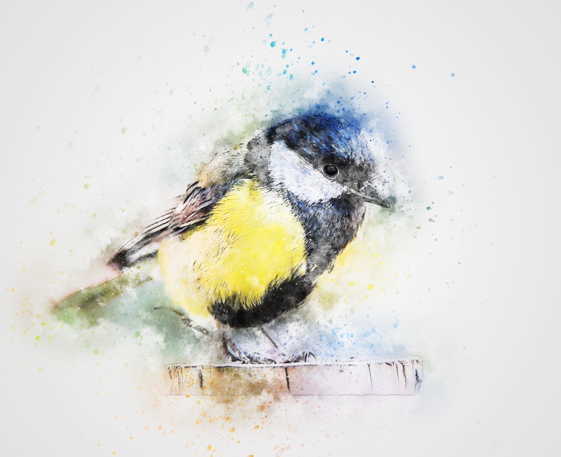 Chickadee Art Tapeta HD | Tło | 3000x2445 | ID:831056 - Wallpaper Abyss