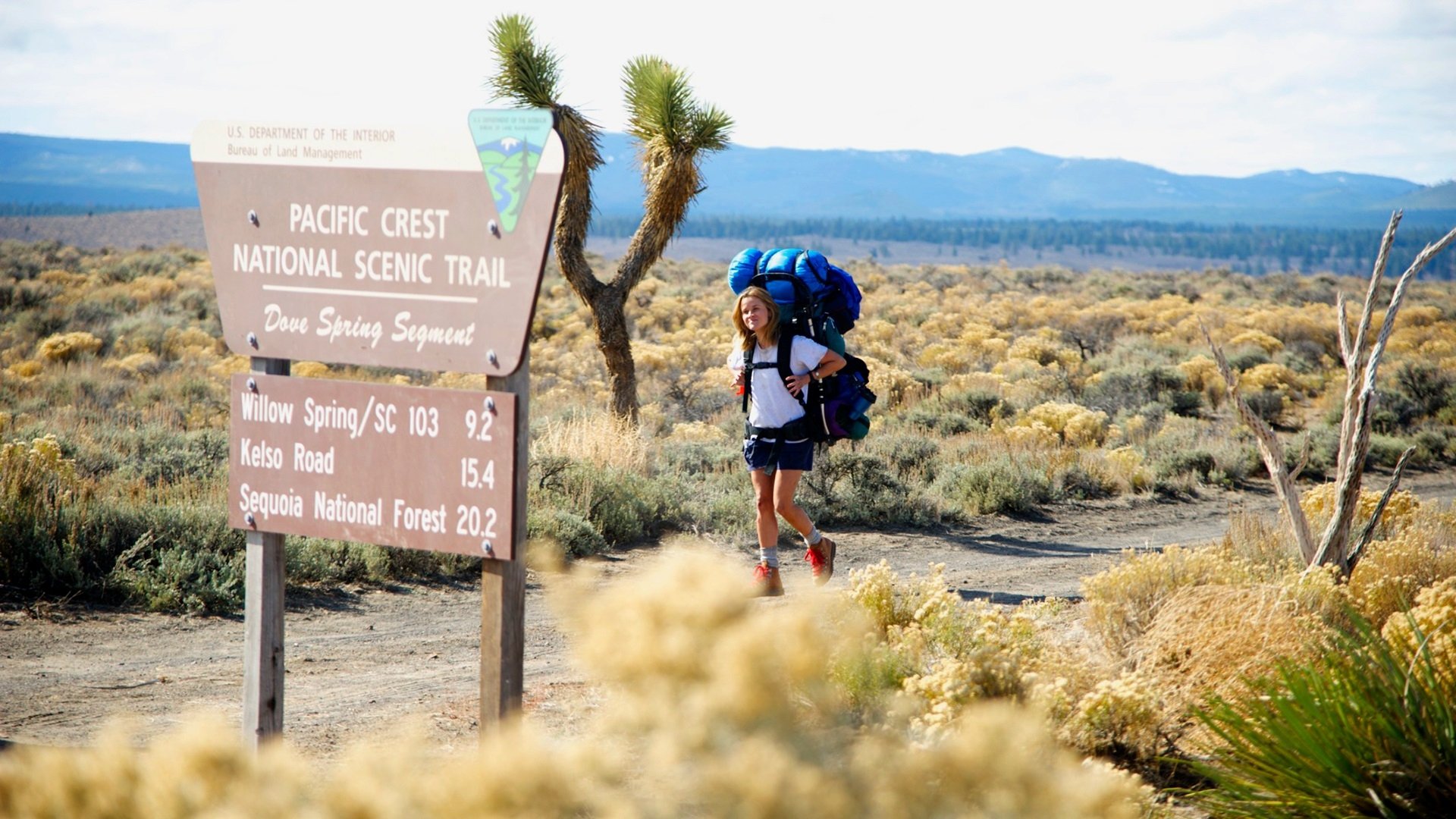 Download Reese Witherspoon Movie Wild HD Wallpaper