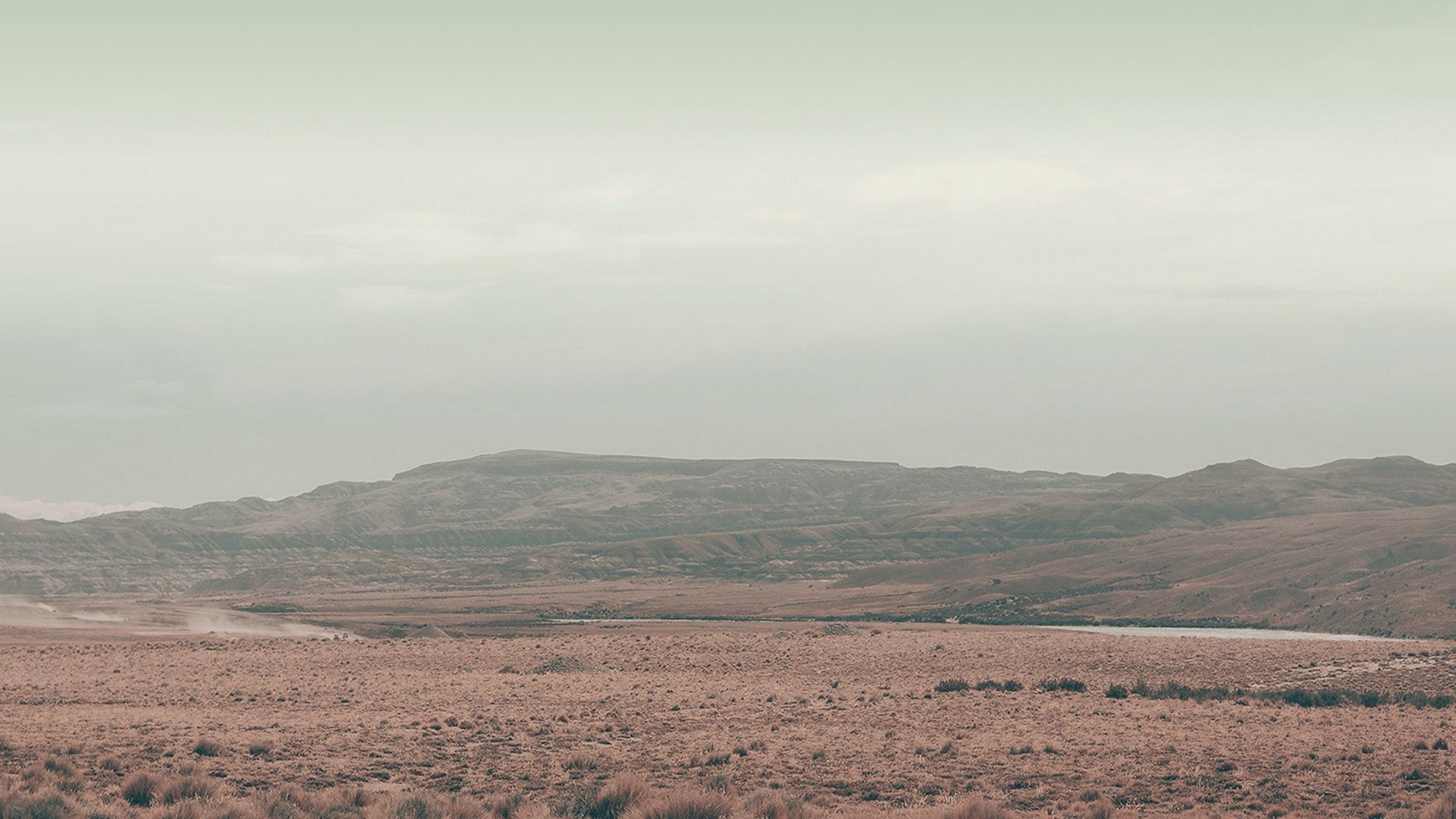 Download Movie Wild Tales HD Wallpaper