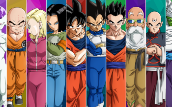 Anime Dragon Ball Super HD Wallpaper by lucario-strike