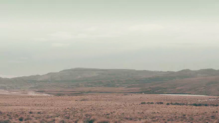 movie Wild Tales HD Desktop Wallpaper | Background Image