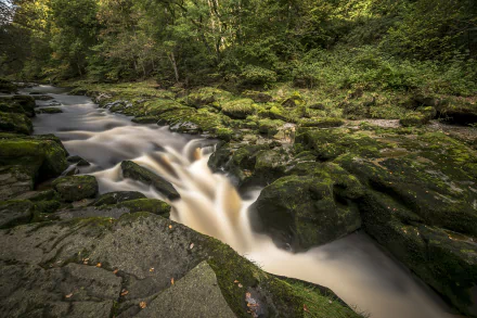 foam nature stream HD Desktop Wallpaper | Background Image