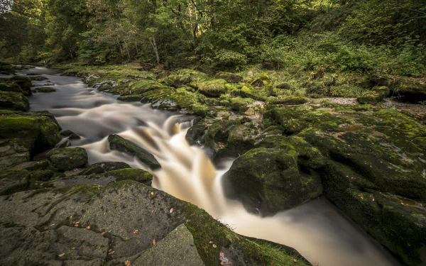 foam nature stream HD Desktop Wallpaper | Background Image