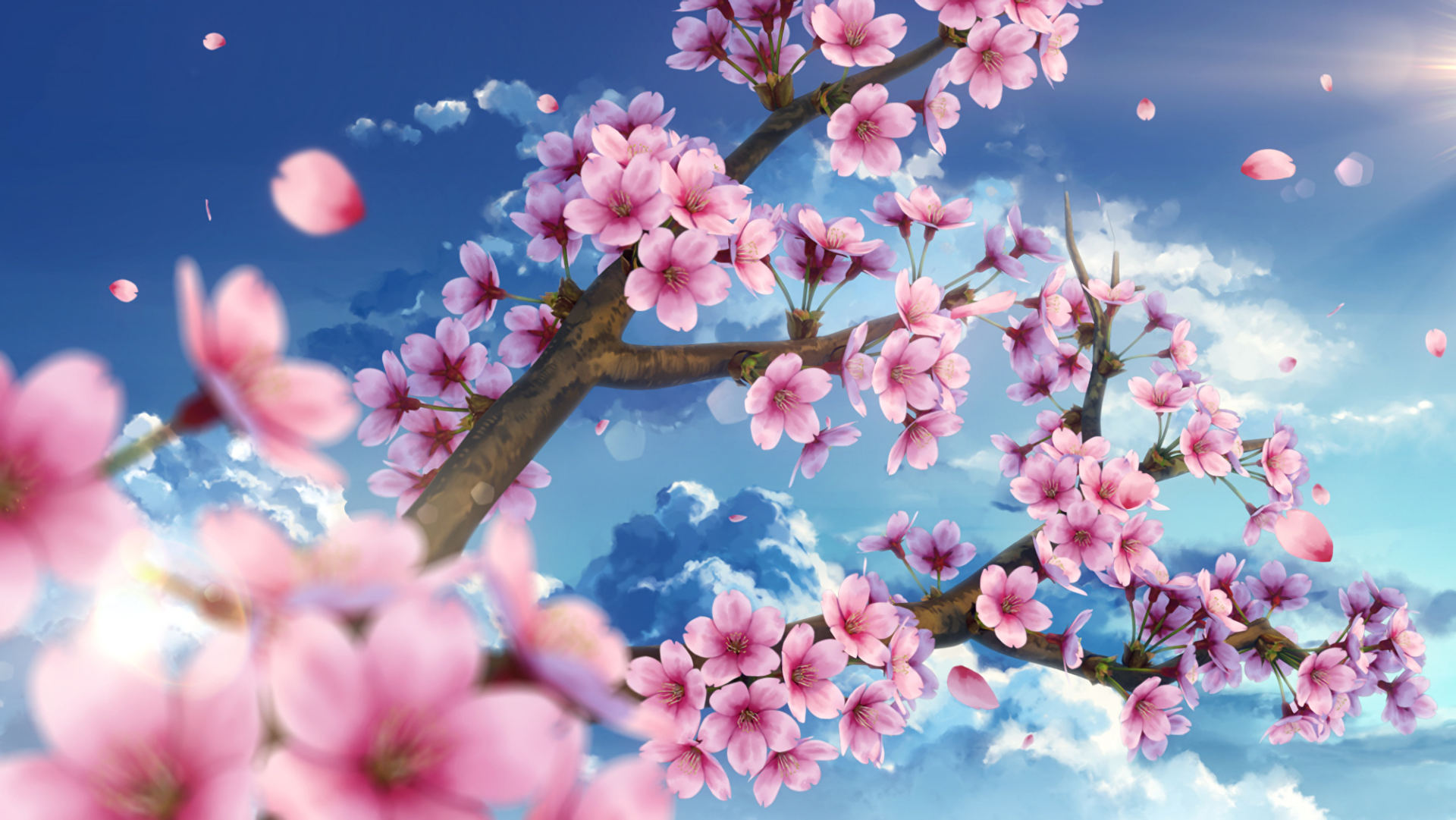 Anime Blossom Sky HD Wallpaper