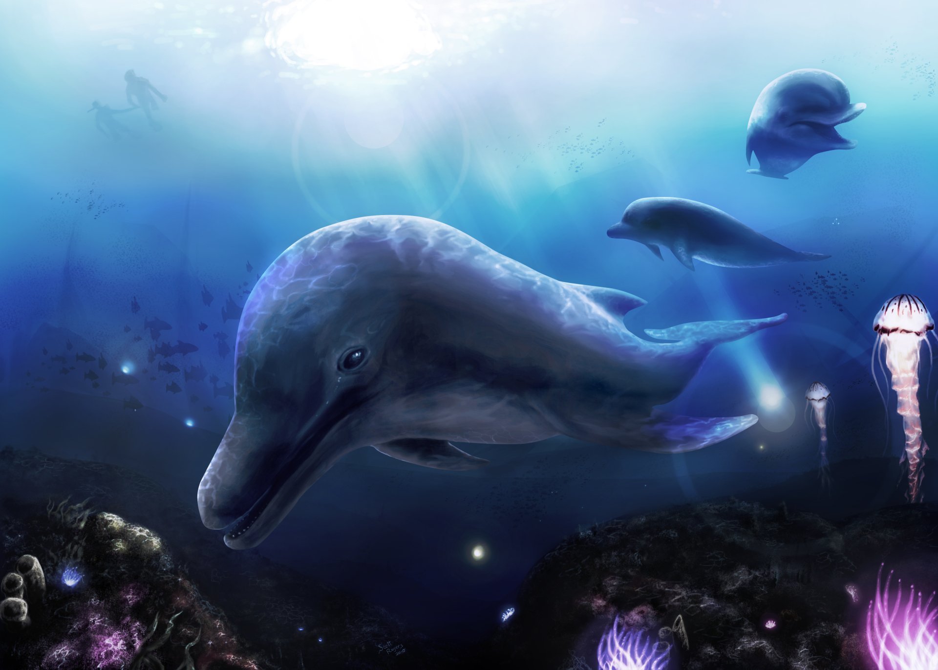 4K Ultra HD underwater scene featuring dolphins swimming gracefully among sea life, illuminated by soft ocean light in a vibrant marine habitat.