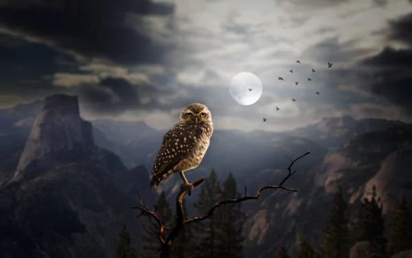 A high-definition desktop wallpaper showing a manipulated image of an owl perched on a branch with a moonlit mountainous background.