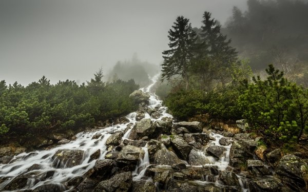 Nature Stream Fog HD Wallpaper | Background Image