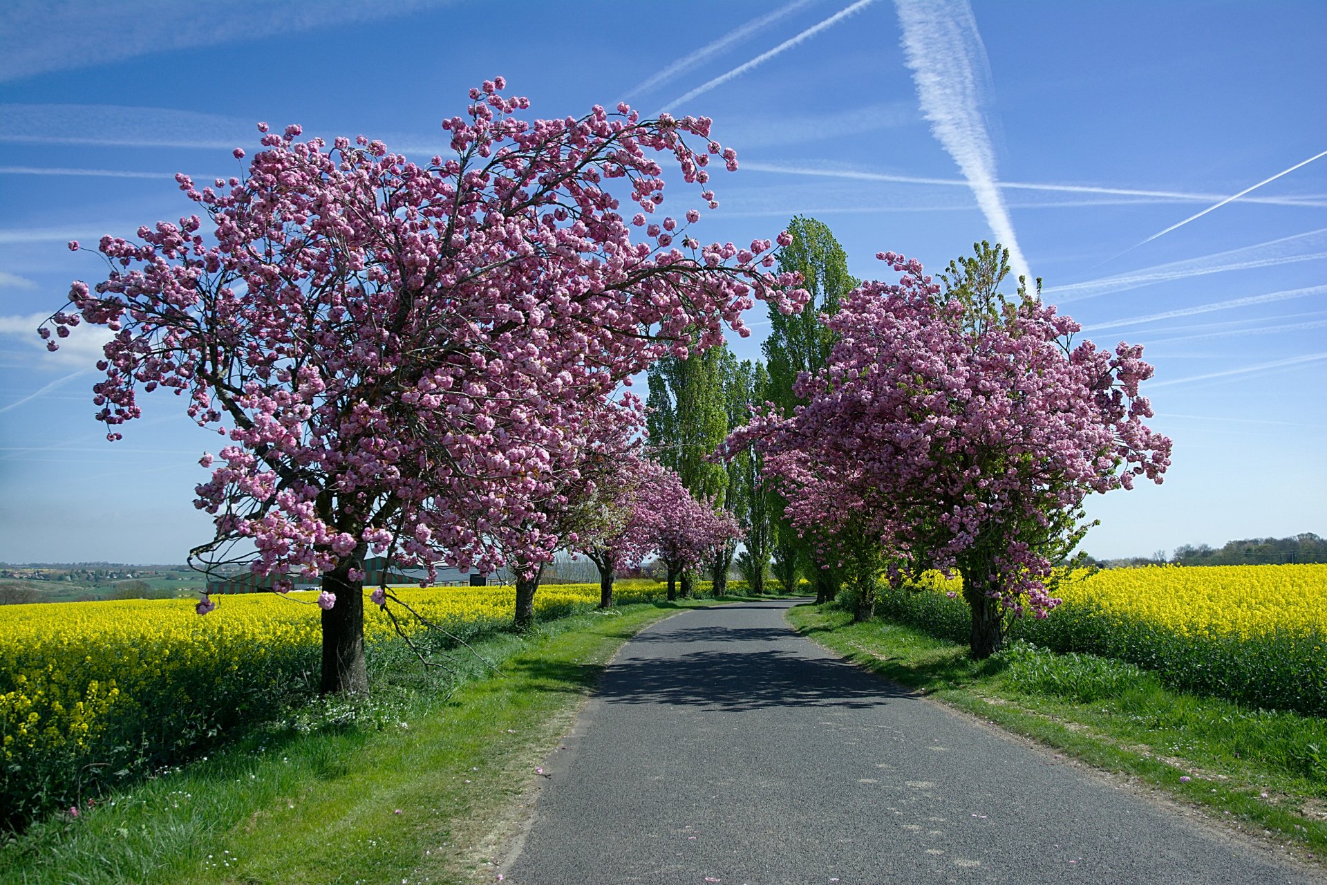  Country  Road  in Spring  HD Wallpaper  Background  Image 