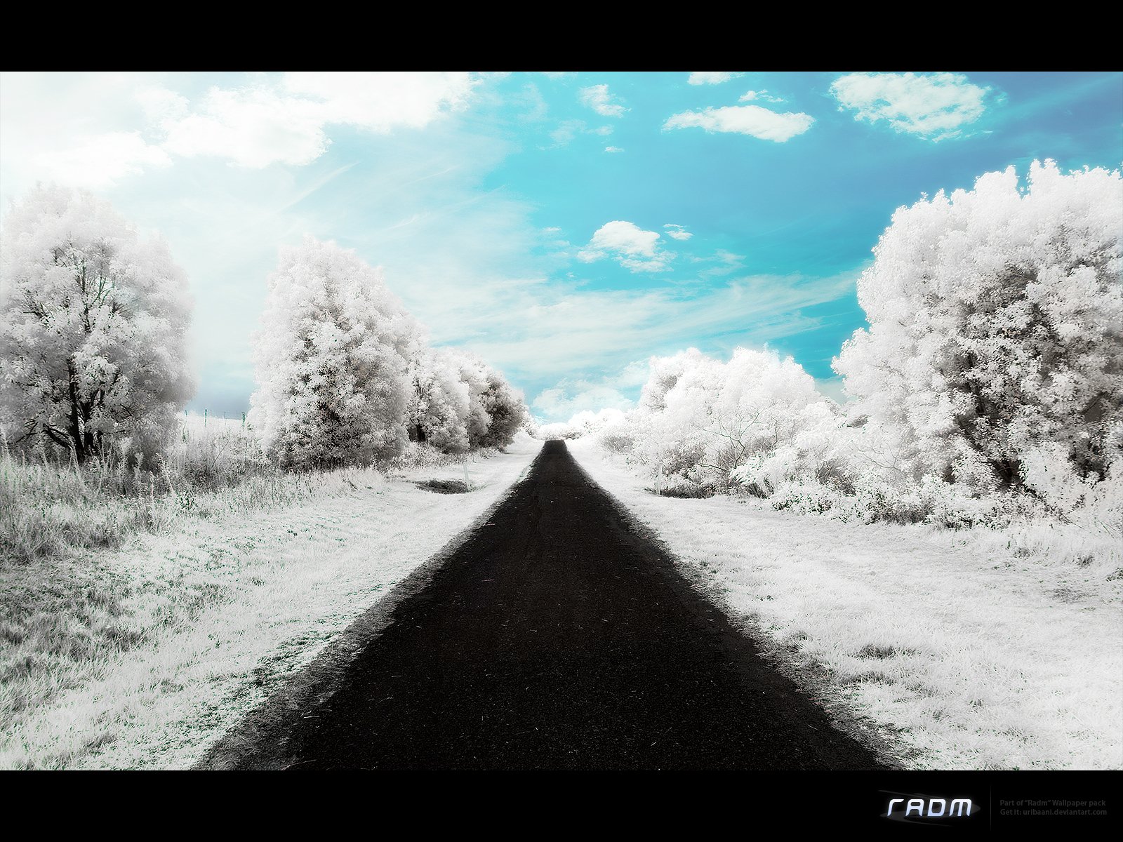 A snowy winter road stretches through a serene natural landscape with frosted trees under a bright, partly cloudy sky—HD desktop wallpaper showcasing artistic nature.
