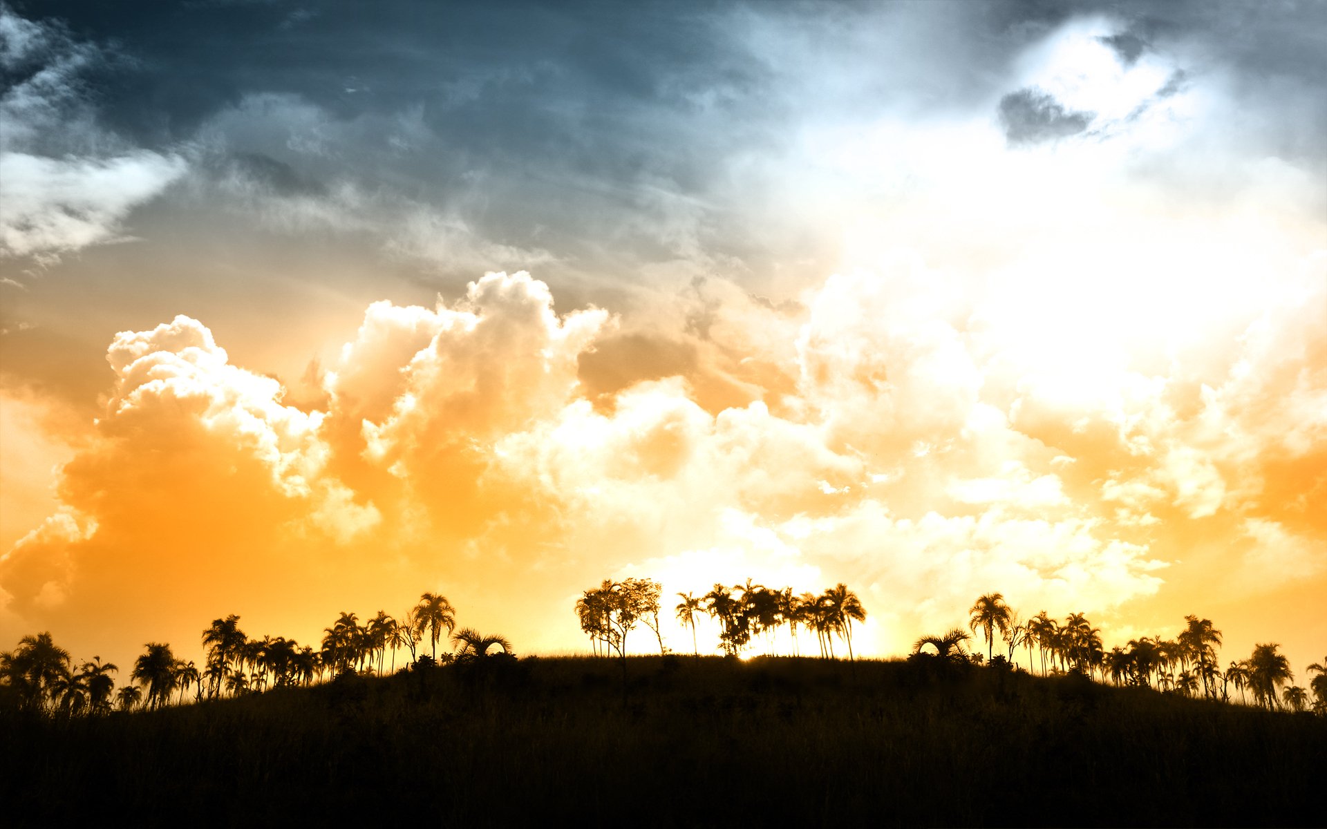 Download Cloud Sky Tree Nature Artistic HD Wallpaper by Miika Ahvenjarvi