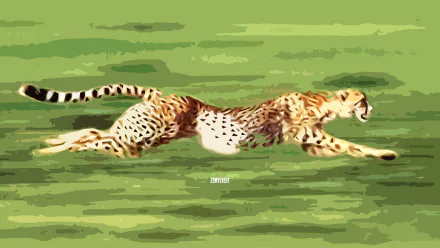 hunting Animal cheetah HD Desktop Wallpaper | Background Image