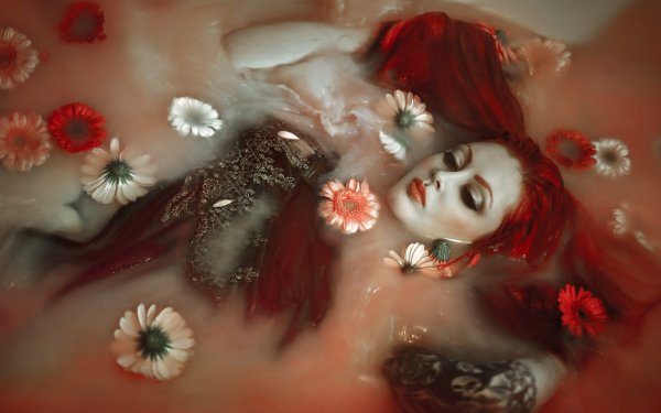 Women Artistic Flower Water Red Hair Gerbera HD Wallpaper | Background Image