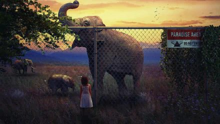 HD PC desktop wallpaper — photographic manipulation of a little girl at a chain‑link fence as a large elephant reaches over at sunset, grassy plain and a Paradise Area sign in the scene.