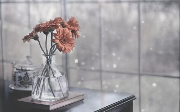 A still life HD desktop wallpaper featuring peach gerbera flowers arranged in a clear glass vase on a dark wooden table against a softly blurred window background.