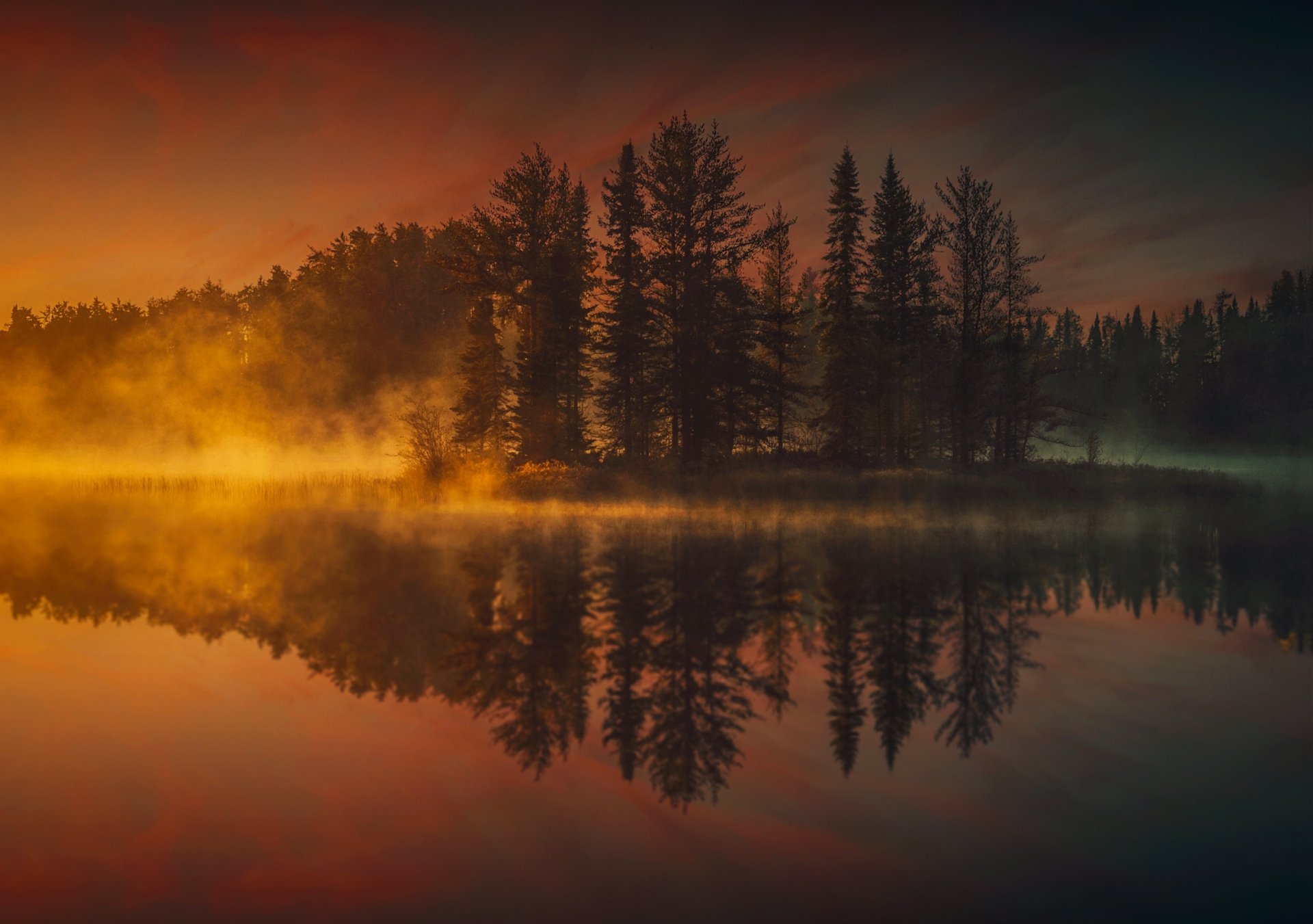 Download Sunset Fog Tree Lake Nature Reflection HD Wallpaper by ...