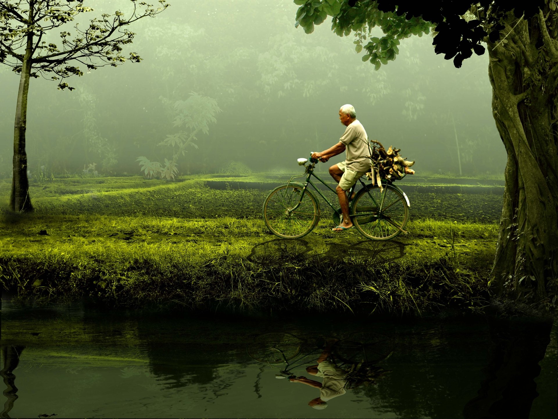 Download Water Green Reflection Bicycle Photography Men 4k Ultra HD Wallpaper