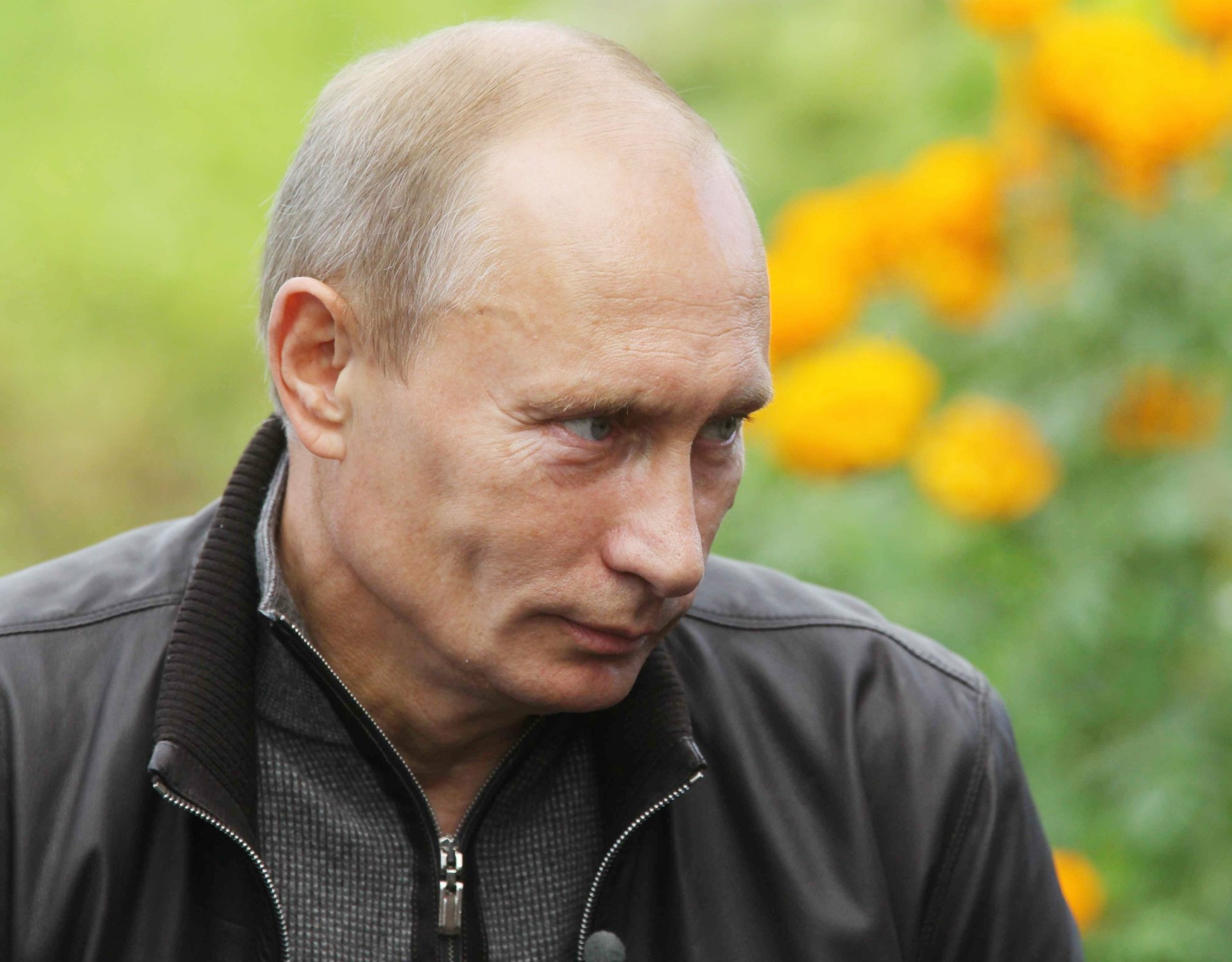 Vladimir Putin 4K Ultra HD Portrait Of Russia s President And Global