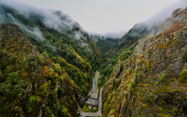 Romania mountain forest landscape, aerial photography of a narrow green valley with winding road and small riverside building, dramatic cliffs and mist — 2K Quad HD PC desktop wallpaper/background.