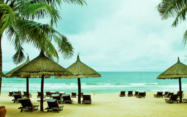  Tropical Beach