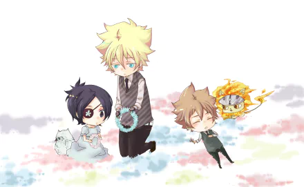 Tsunayoshi Sawada Chrome Dokuro Anime Katekyō Hitman Reborn! HD Desktop Wallpaper | Background Image