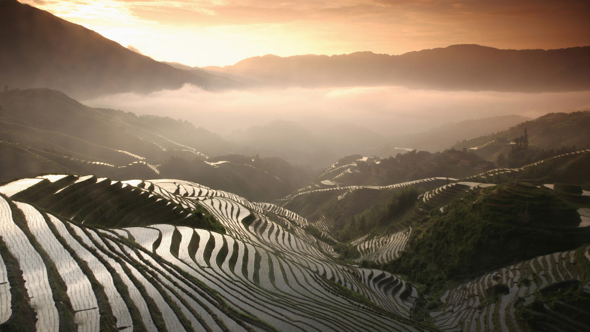 Man Made Rice Terrace HD Wallpaper | Background Image