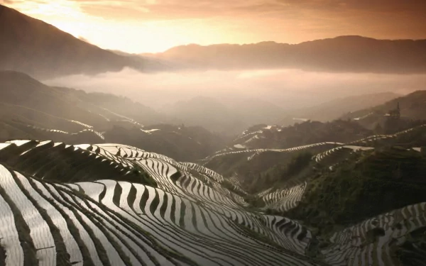 A serene HD landscape of man-made rice terraces carved into the earth, glowing softly under a misty sunrise, creating a stunning natural and agricultural panorama.