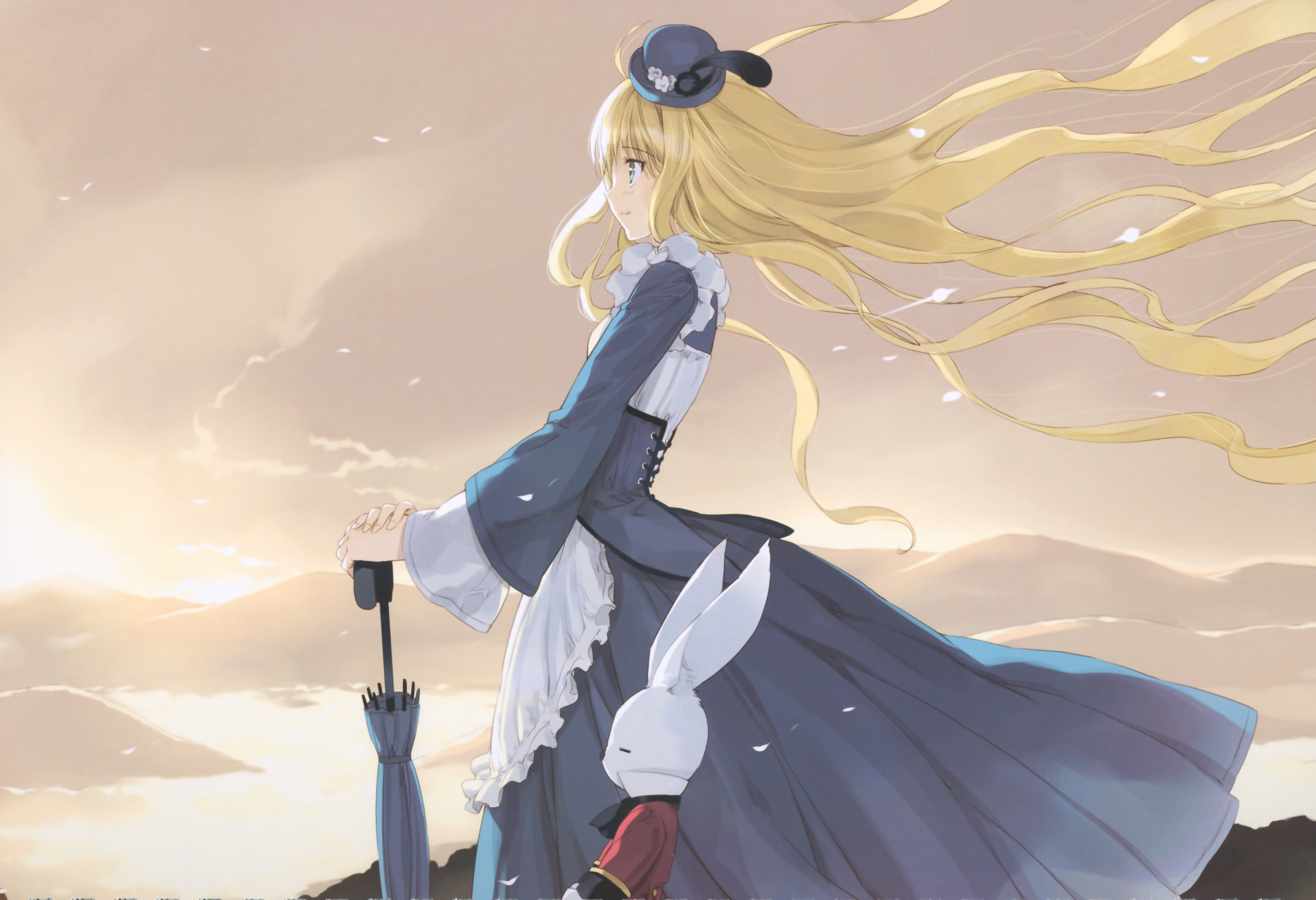 Anime Alice In Wonderland HD Wallpaper | Background Image