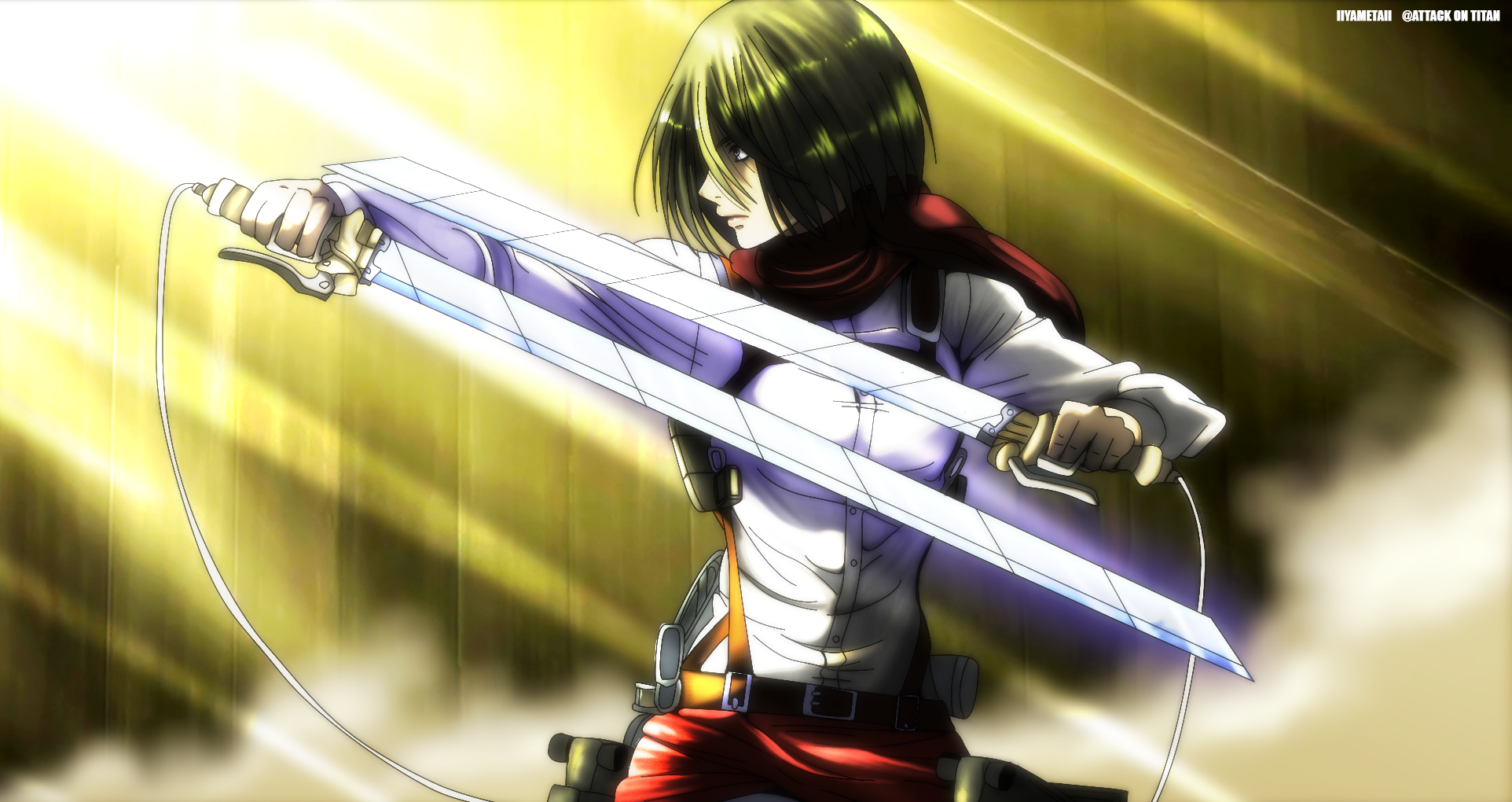 Download Attack On Titan Mikasa Ackerman Anime Wallpaper by IIYametaII