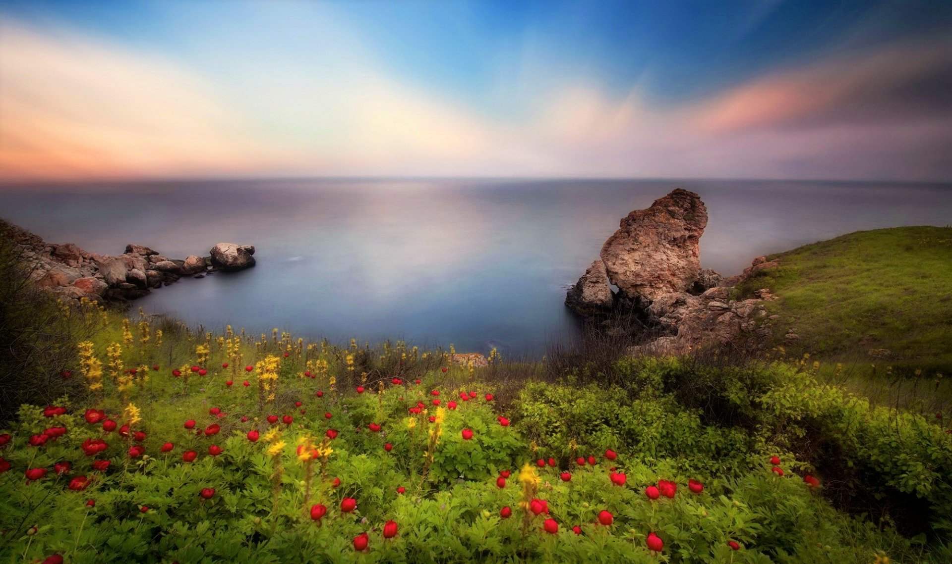 Flowers Along The Coast Hd Wallpaper Background Image 2000x1186
