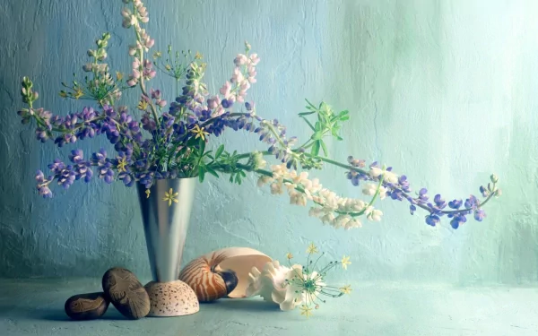 vase plant photography artistic HD Desktop Wallpaper | Background Image