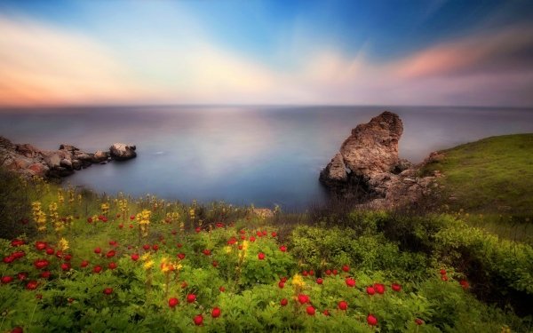 Nature Coastline Ocean Sea Flower Spring Horizon HD Wallpaper | Background Image