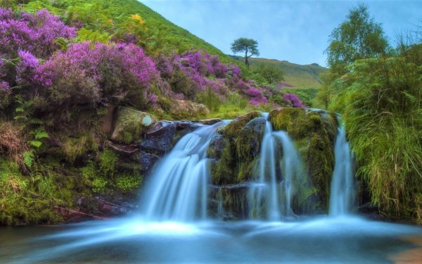 Earth Waterfall Waterfalls Flower Spring Purple Flower HD Wallpaper | Background Image