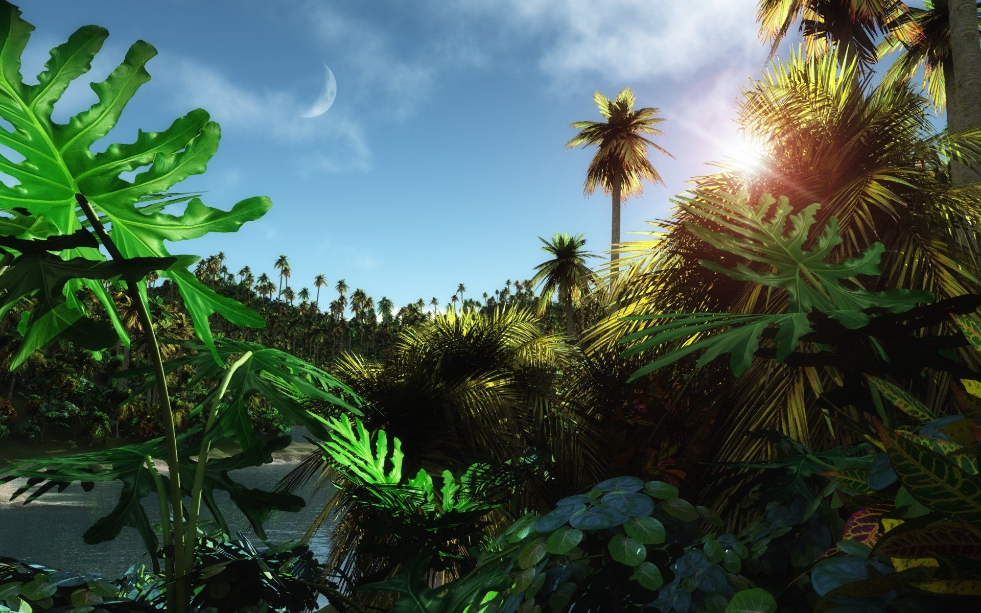 Orman HD Duvar kağıdı Arka plan 1920x1200 ID84610 Wallpaper Abyss
