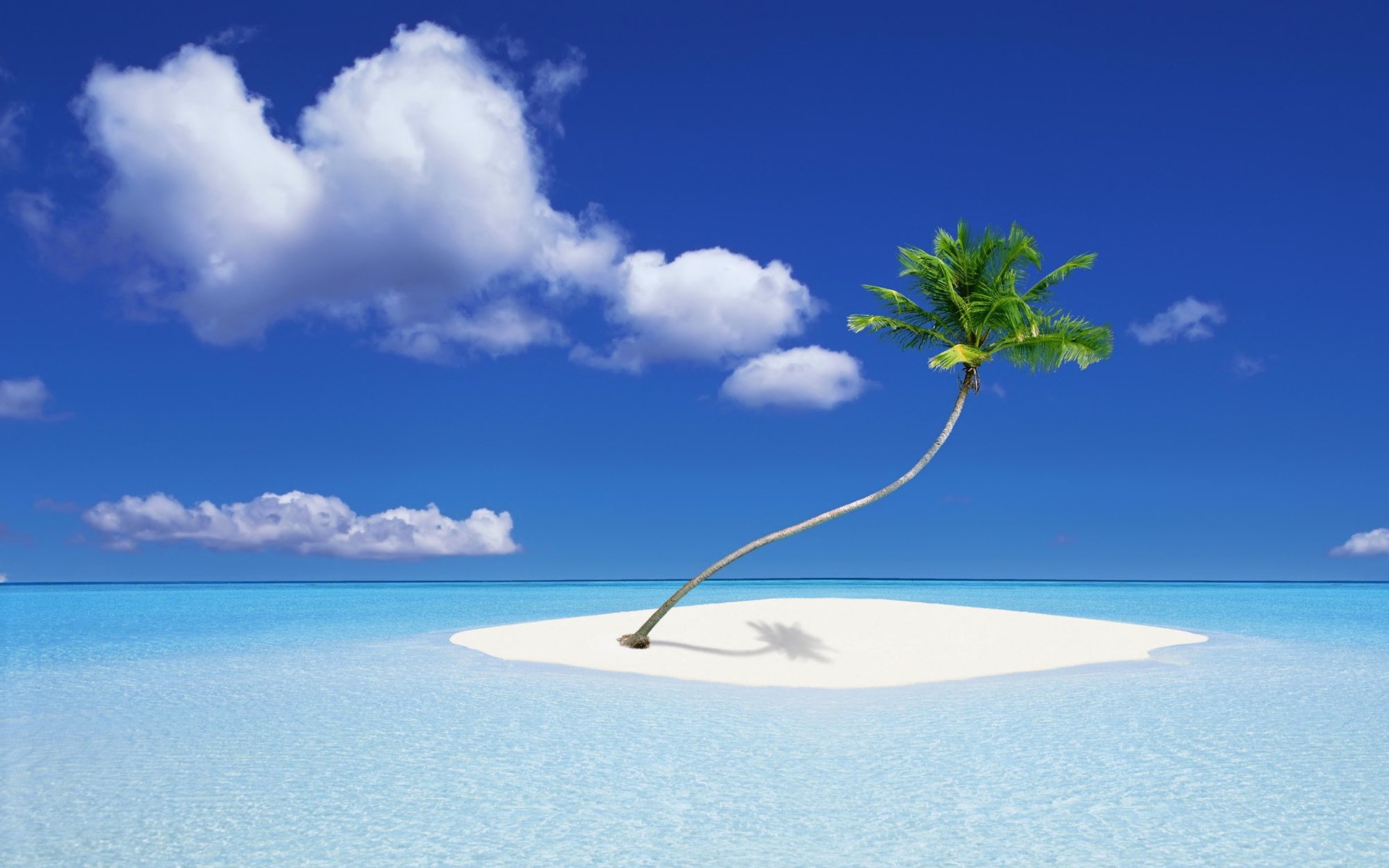 A serene scene featuring a lone palm tree on a small sandy island surrounded by clear blue water, under a vivid sky adorned with fluffy clouds. This HD wallpaper evokes tranquility and natural beauty.