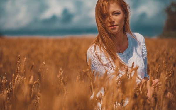 Women Model Redhead Summer Wheat Field Depth Of Field HD Wallpaper | Background Image