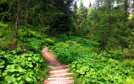  path #2